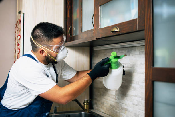 Best Bed Bug Extermination  in Gulf Breeze, FL
