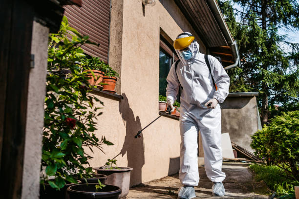 Best Pest Removal Services  in Gulf Breeze, FL