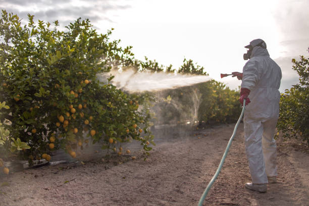 Best Mosquito Control Services  in Gulf Breeze, FL