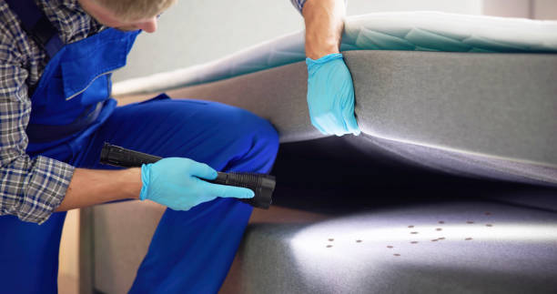 Best Termite Control Services  in Gulf Breeze, FL
