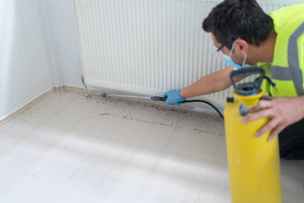 Best Affordable Pest Control Services  in Gulf Breeze, FL
